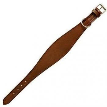 ARPPE Piel Greyhound o cuello de Whippet