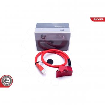 Adaptador de Bateria ESEN SKV 96SKV314