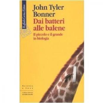 Dai batteri alle balene. Il piccolo e il grande in biologia. Ediz. illustrata