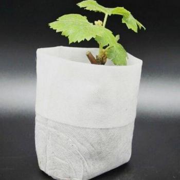 Bolsas Biodegradables para Vivero 100 Uds 8x10cm