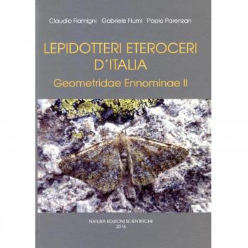 Lepidotteri eteroceri d'Italia. Geometridae ennominae: 2