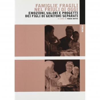 Famiglie fragili nel Friuli di oggi. Emozioni, valori e progetti dei figli di genitori separati
