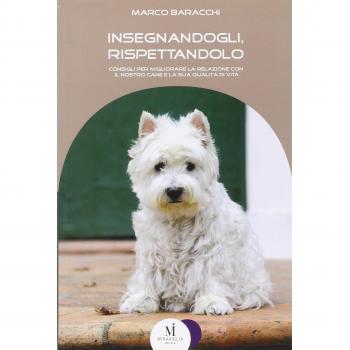 Insegnandogli, rispettandolo. Consigli per migliorare la relazione con il nostro cane e la sua qualità di vita