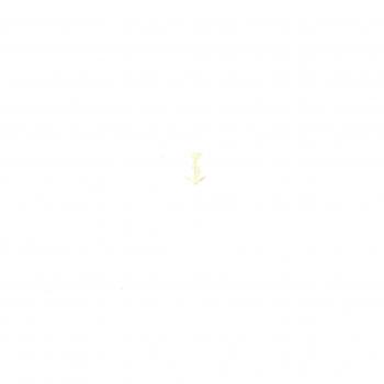 I censimenti di terreni nei testi in lineare B