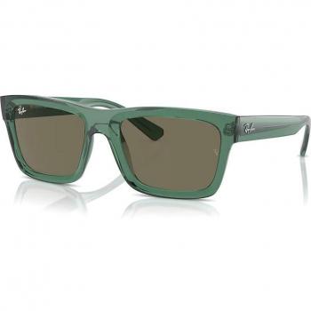 Ray-Ban Warren RB4396 6681/3 54