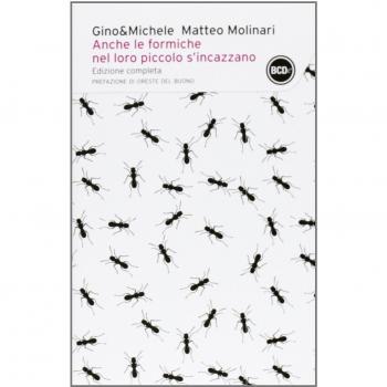 Anche le formiche nel loro piccolo s'incazzano