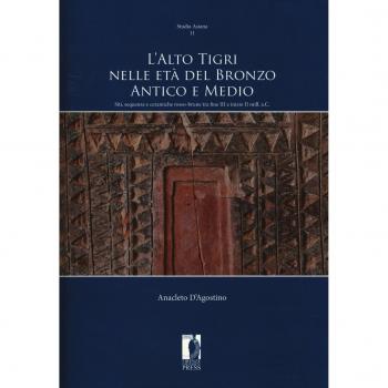 L'Alto Tigri nelle età del bronzo antico e medio. Siti, sequenze e ceramiche rosso-brune tra fine III e inizio II mill. a.C.