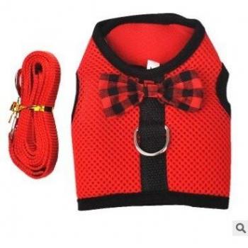 Taza de Té para Mascotas con Arnés y Correa para Chihuahua