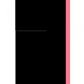 Il carnet de croquis di un liutaio