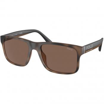 Gafas Polo Tortoiseshell Hombre