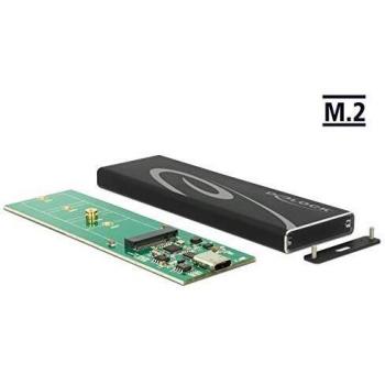 DeLOCK 42574 SSD enclosure Black box for external hard drive