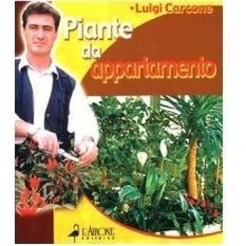 Piante da appartamento