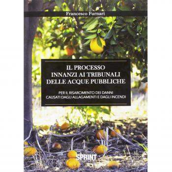 Il processo innanzi ai tribunali delle acque pubbliche per il risarcimento dei danni causati dagli allagamenti e dagli incendi