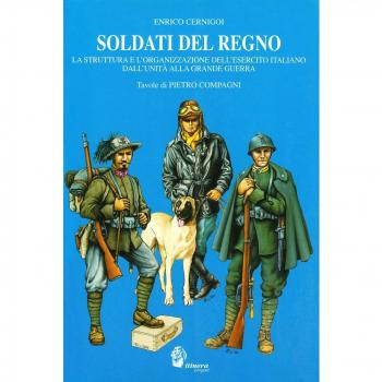 Soldati del Regno. La struttura e l'organizzazione dell'esercito italiano dall'unità alla grande guerra