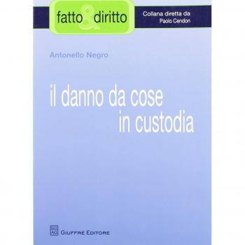 Danno Da Cose In Custodia