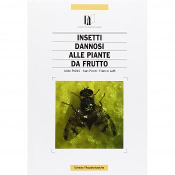 Insetti dannosi alle piante da frutto