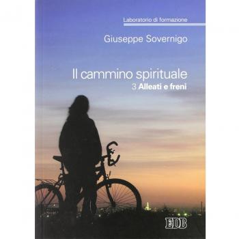 Il cammino spirituale. Laboratorio di formazione. Alleati e freni (Vol. 3)