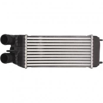 Intercooler THERMOTEC DAP003TT