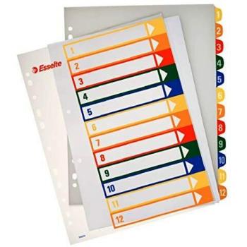 Esselte Índices Proyectos Imprimibles A4 Maxi 12 Pestañas Multicolor