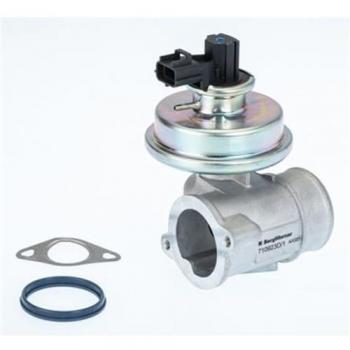 Válvula EGR Wahl 710923D/1