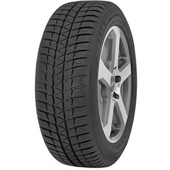 Falken EUROWINTER HS449 RUNFLAT ( 205/50 R17 93H XL, runflat )