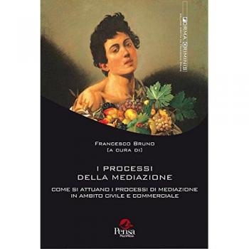 I processi della mediazione. Come si attuano i processi di mediazione in ambito civile e commerciale