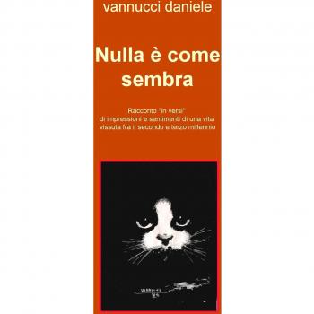 Nulla è come sembra. Racconto «in versi» di impressioni e sentimenti di una vita vissuta fra il secondo e terzo millennio