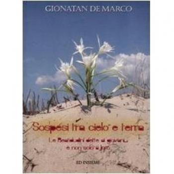 Sospesi tra cielo e terra. Le beatitudini dette ai giovani... e non solo a loro