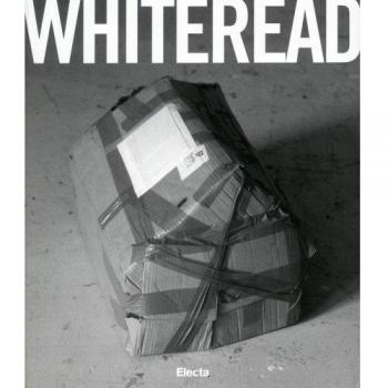 Whiteread. Catalogo della mostra (Naples, 4 February-1 May 2007). Ediz. inglese