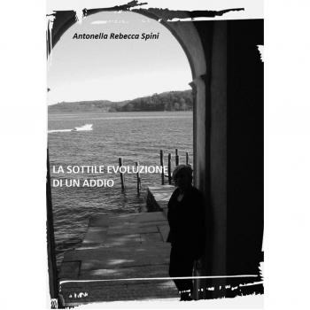 La sottile evoluzione di un addio