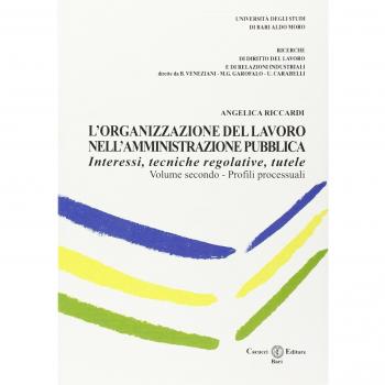 L' organizzazione del lavoro nell'amministrazione pubblica. Interessi, tecniche regolative, tutele. Vol. 2: Profili processuali.