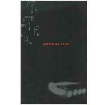 Apocalisse. Federico Gori, Gerardo Paoletti. Catalogo della mostra (Quarrate, 31 marzo-6 maggio 2007). Ediz. italiana e inglese