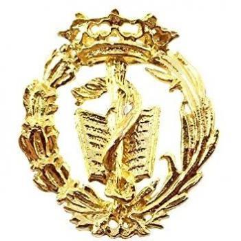 Inmaculada Romero Insignia Profesional Medicina Escudo Plata 925m Ley 19mm Pin Chapado Oro