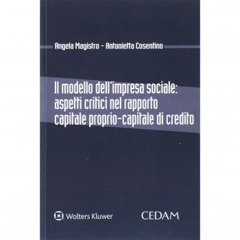 Modello dell'impresa sociale: aspetti critici